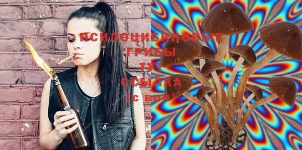 PSILOCYBIN Абинск
