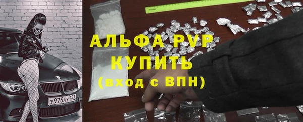 ПСИЛОЦИБИНОВЫЕ ГРИБЫ Валуйки