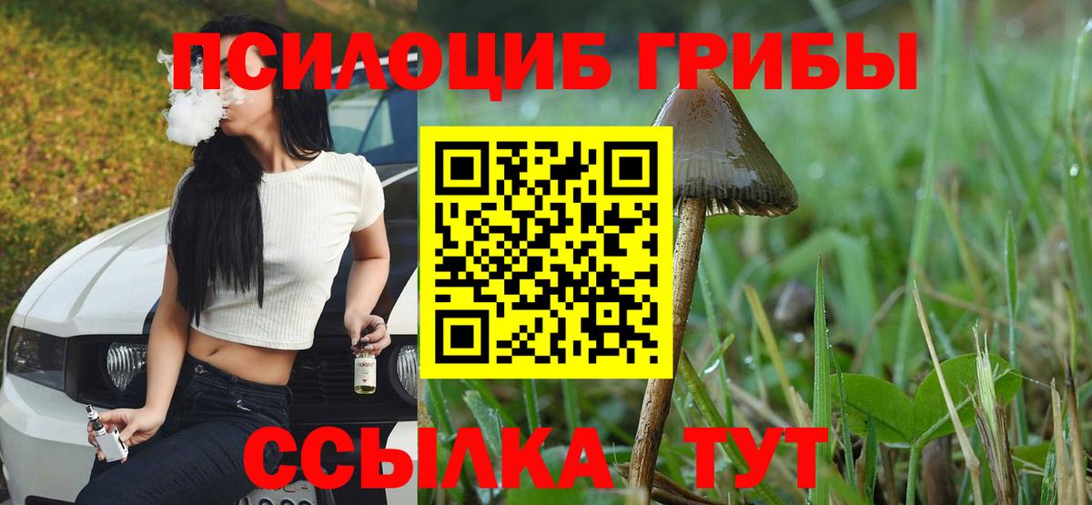 Псилоцибиновые грибы мухоморы  Вход с VPN  Уфа 