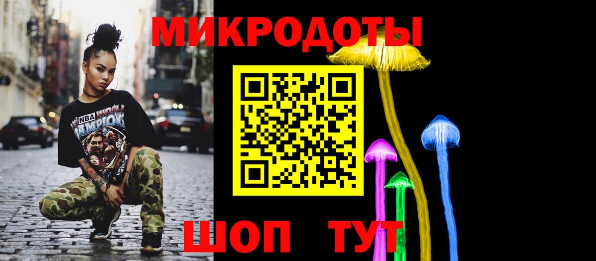 Галлюциногенные грибы Psilocybe Уфа